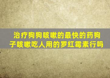 治疗狗狗咳嗽的最快的药狗子咳嗽吃人用的罗红霉素行吗