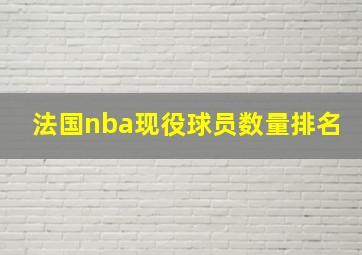 法国nba现役球员数量排名