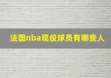 法国nba现役球员有哪些人