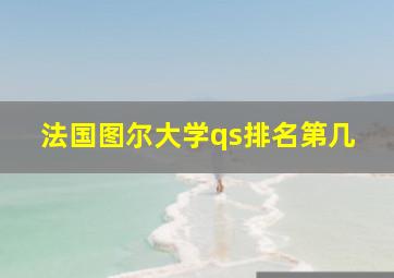 法国图尔大学qs排名第几