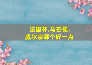 法国杯,马芒德,威尔宗哪个好一点