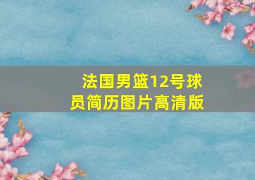 法国男篮12号球员简历图片高清版