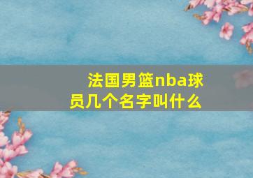 法国男篮nba球员几个名字叫什么