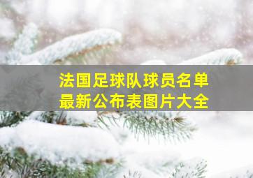 法国足球队球员名单最新公布表图片大全