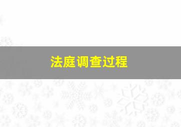 法庭调查过程