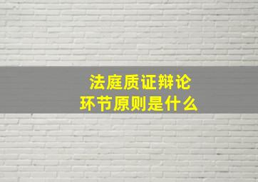 法庭质证辩论环节原则是什么