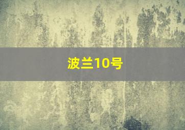 波兰10号