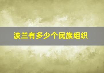 波兰有多少个民族组织