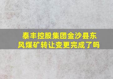 泰丰控股集团金沙县东风煤矿转让变更完成了吗