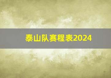 泰山队赛程表2024