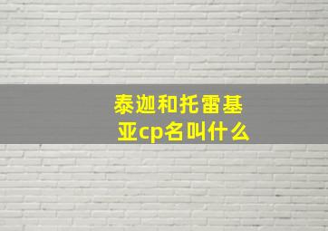 泰迦和托雷基亚cp名叫什么