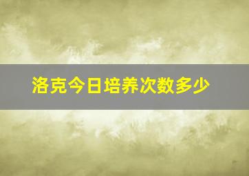 洛克今日培养次数多少