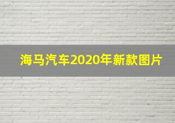 海马汽车2020年新款图片