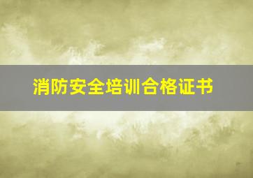 消防安全培训合格证书