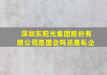 深圳东阳光集团股份有限公司是国企吗还是私企