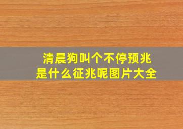 清晨狗叫个不停预兆是什么征兆呢图片大全