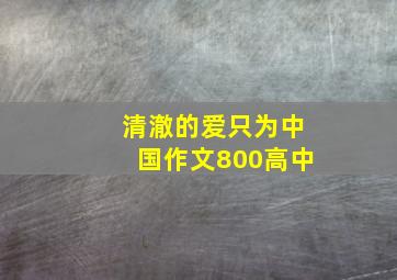 清澈的爱只为中国作文800高中