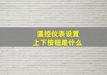 温控仪表设置上下按钮是什么