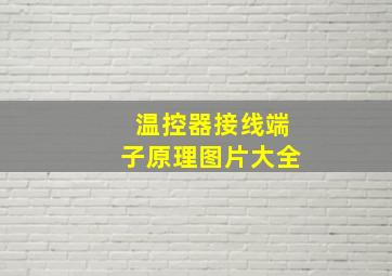 温控器接线端子原理图片大全