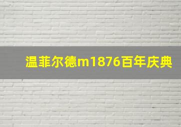 温菲尔德m1876百年庆典