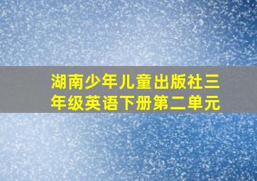 湖南少年儿童出版社三年级英语下册第二单元