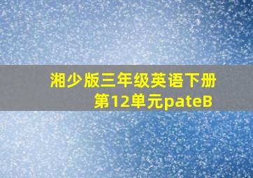 湘少版三年级英语下册第12单元pateB