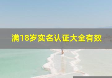 满18岁实名认证大全有效