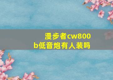 漫步者cw800b低音炮有人装吗