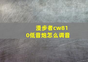 漫步者cw810低音炮怎么调音