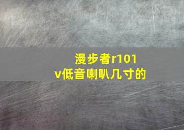 漫步者r101v低音喇叭几寸的