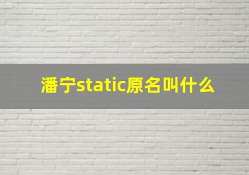 潘宁static原名叫什么