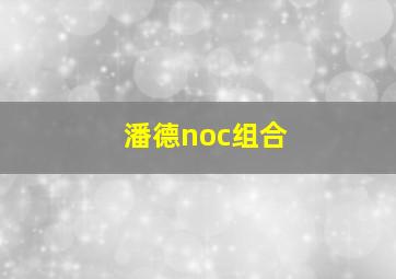 潘德noc组合