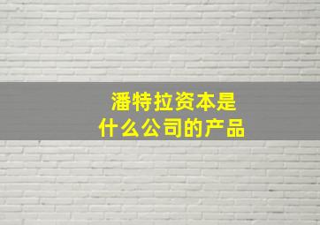 潘特拉资本是什么公司的产品