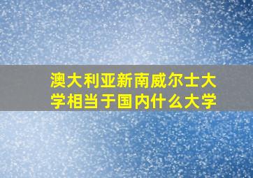 澳大利亚新南威尔士大学相当于国内什么大学