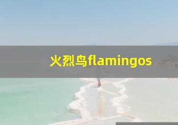 火烈鸟flamingos