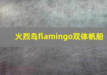 火烈鸟flamingo双体帆船