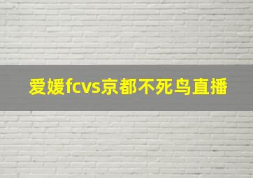 爱媛fcvs京都不死鸟直播