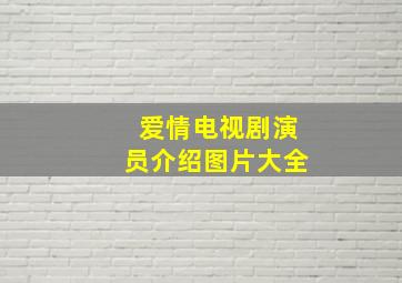 爱情电视剧演员介绍图片大全