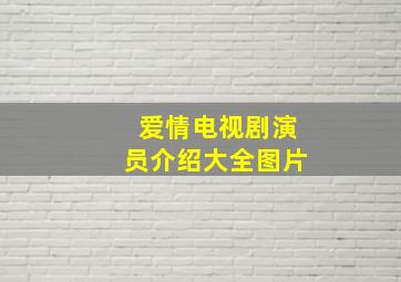 爱情电视剧演员介绍大全图片