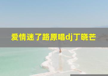 爱情迷了路原唱dj丁晓芒