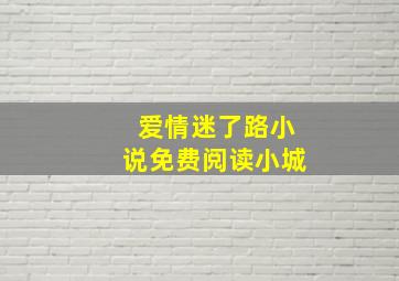 爱情迷了路小说免费阅读小城