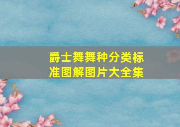 爵士舞舞种分类标准图解图片大全集