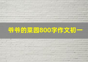 爷爷的菜园800字作文初一