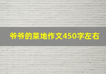 爷爷的菜地作文450字左右