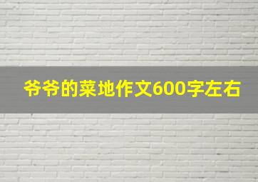 爷爷的菜地作文600字左右