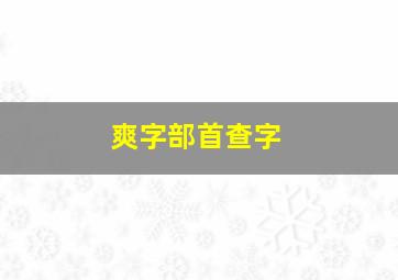 爽字部首查字