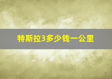 特斯拉3多少钱一公里