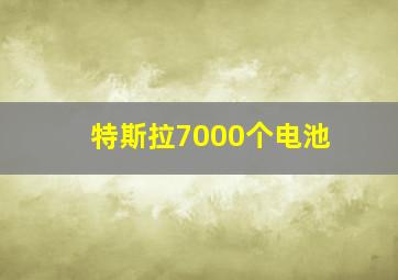 特斯拉7000个电池