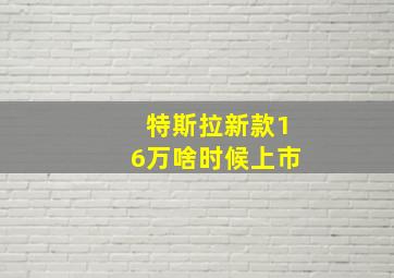 特斯拉新款16万啥时候上市