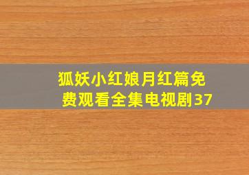 狐妖小红娘月红篇免费观看全集电视剧37